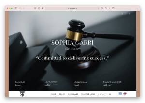 GARBIS LAW